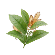 L-teanina
