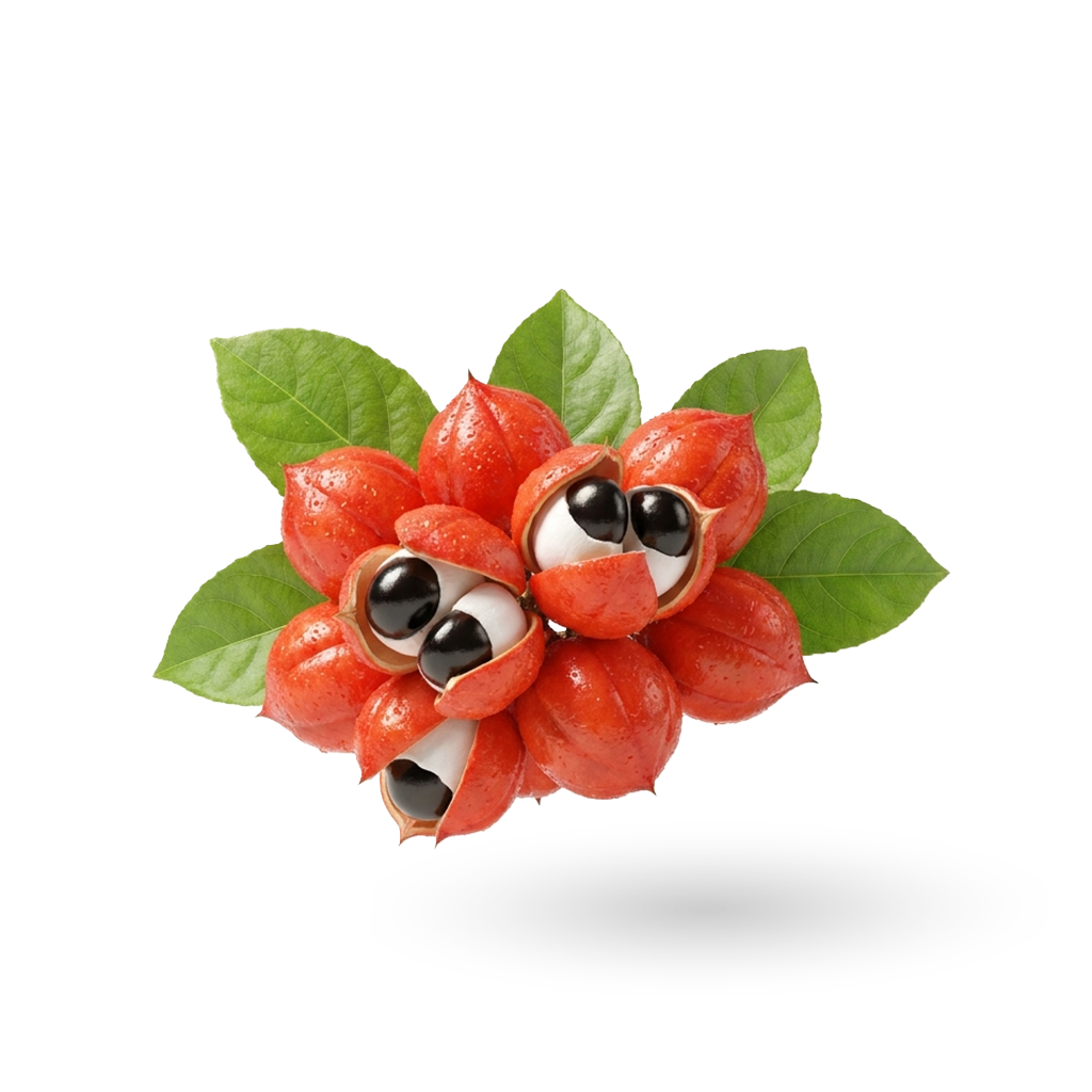 Guarana Extract