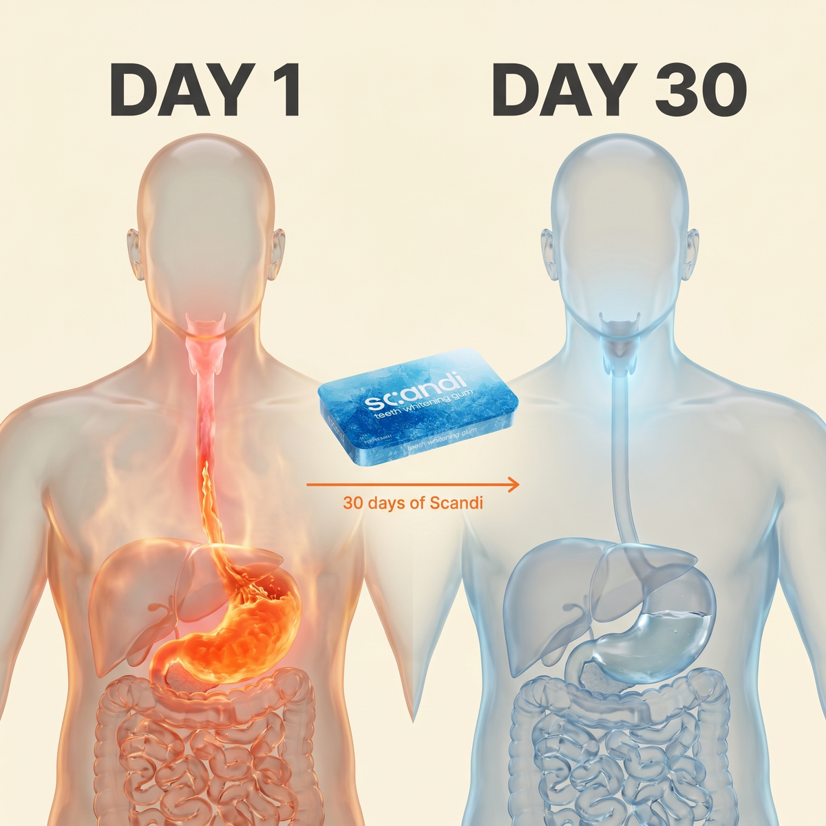 What Happens When You Chew Scandi For 30 Days